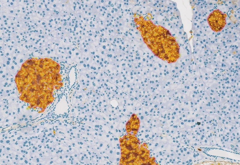 Dynamic Content Image